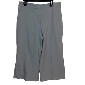 Zara basic collection cropped wide leg slit pant in blue haram high waist NWOT